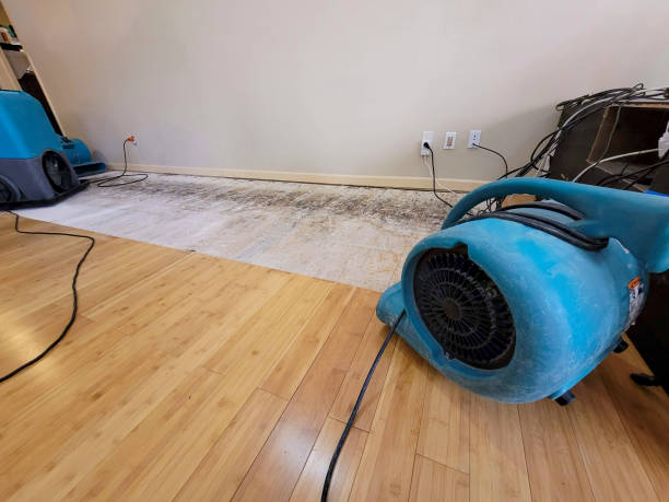 Professional Emergency Water Damage technician working in Mayesville, SC